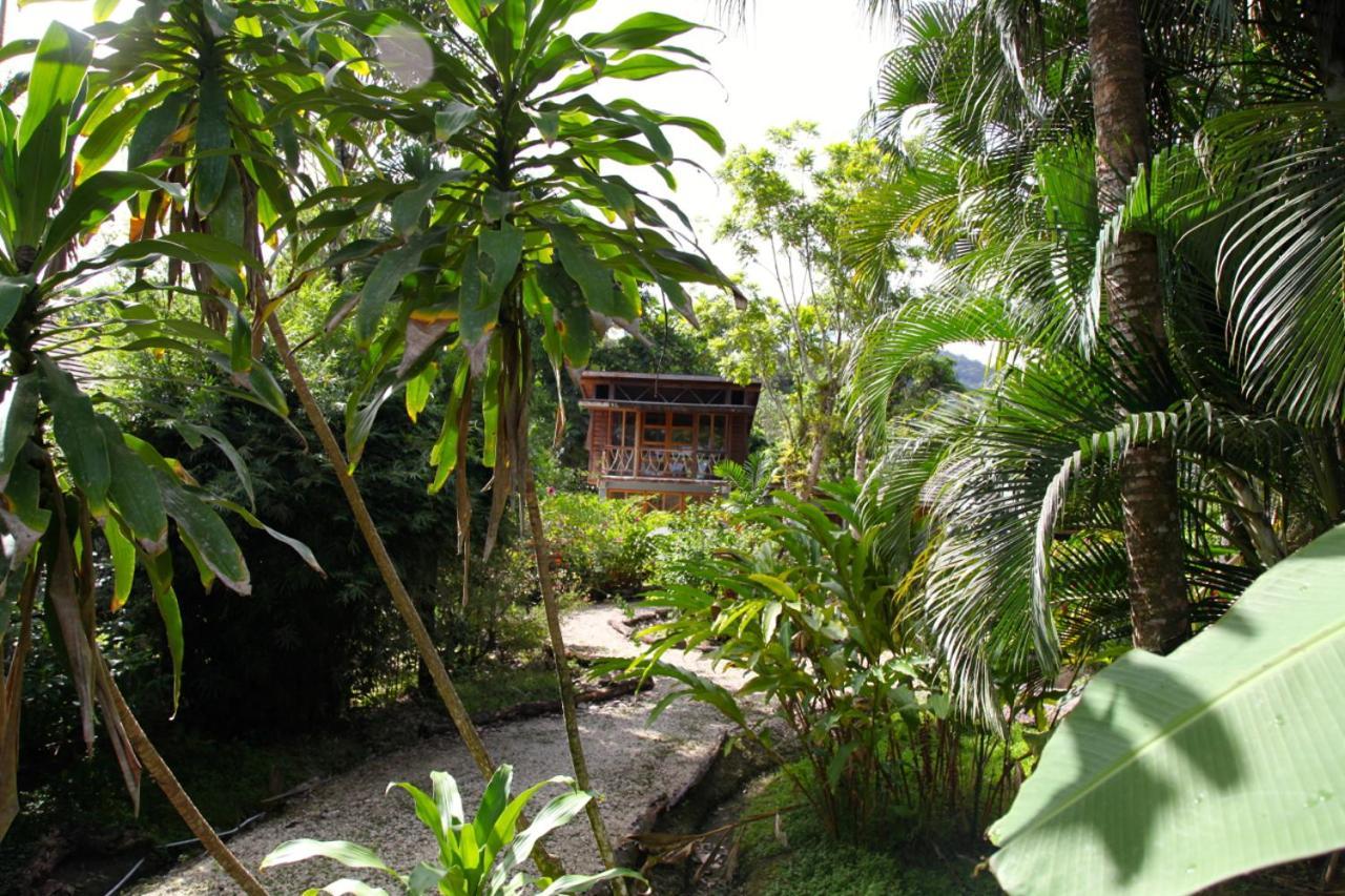 Acajou Hotel Grande Riviere Exterior foto