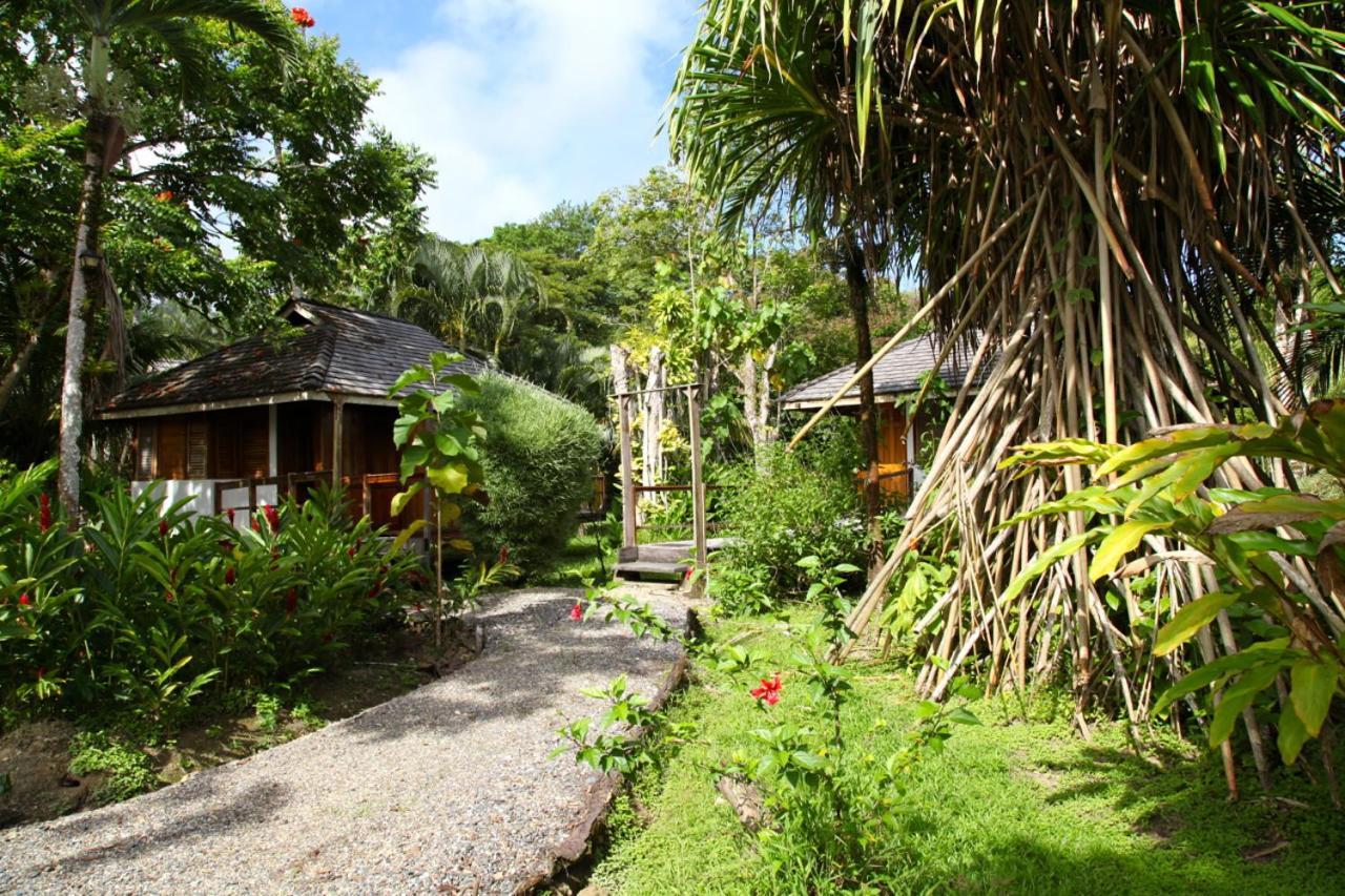 Acajou Hotel Grande Riviere Exterior foto