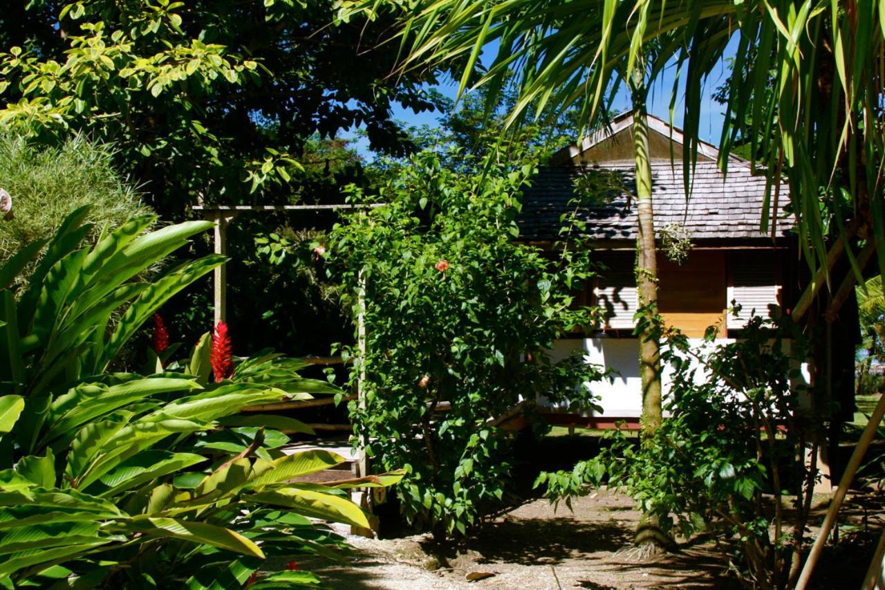 Acajou Hotel Grande Riviere Exterior foto